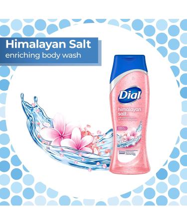 Dial Skin Therapy Body Wash Himalayan Salt 21 fl oz - Pack of 4 | 4 Count - Best for Refreshing Skin - Buy Online on SooperMarket.com