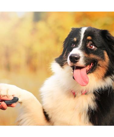 Truepets Dog Clicker Set - Flexible Hand Loop Clickers for Effective Dog Training - Clicker DOOG (Black/Blue) - Buy Online on SooperMarket.com