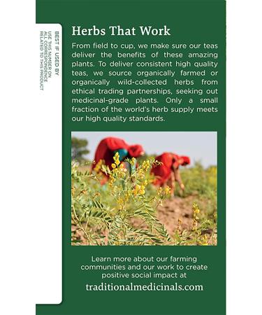 Traditional Medicinals Organic Fennel Herbal Tea - Digestive Health Support (Pack of 2, 32 Tea Bags) - Buy Online on SooperMarket.com