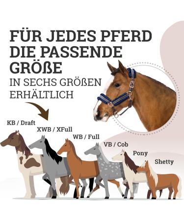 Esposita Champion Edition Halfter fr Pferde - Fellhalfter mit synthetischem Fleece (Draft/KB Navy/Rosegold) - Weich & Fluffig Internationaler Versand - Buy Online on SooperMarket.com