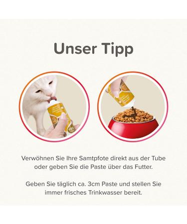 Buy Beaphar Poultry Paste for Cats | Chicken Flavor Omega 3 & 6 Taurine Boost - Grain-Free 0% Sugar 100g - Buy Online on SooperMarket.com
