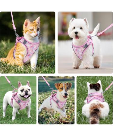 BriFit Cat Dishes with 150cm Leash - High Quality Breakfast Set for Cats & Small Dogs (Pink XS) - Perfect for Pets 6.61-1lb - Buy Online on SooperMarket.com