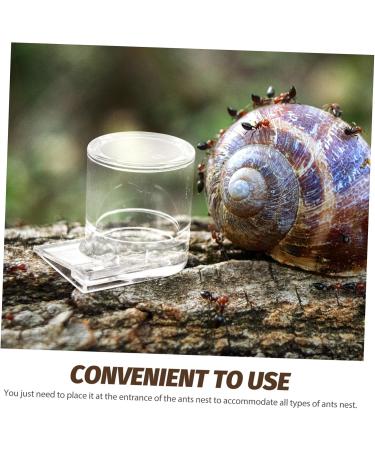 BUGUUYO Pet Water Feeder Ant Nest Water Cup Ant Watering Station Ant Nest Feeder Transparent Plastic - Buy Online on SooperMarket.com