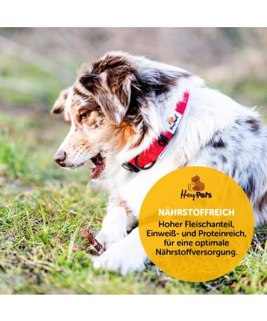 Hey Pets Puppy Sticks - Natural Grain-Free Chewing Bones for Small Dogs & Puppies | 100% Premium Cattle | 500g Dental Care Treats | International Shipping - Buy Online on SooperMarket.com