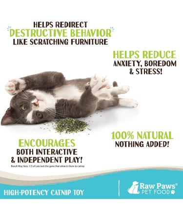 Raw Paws Pet Natural Catnip 1-oz - Premium Loose Catnip Leaf for Cats - Potent Refill for Toys - Cat Catnip Herb Dried - Buy Online on SooperMarket.com