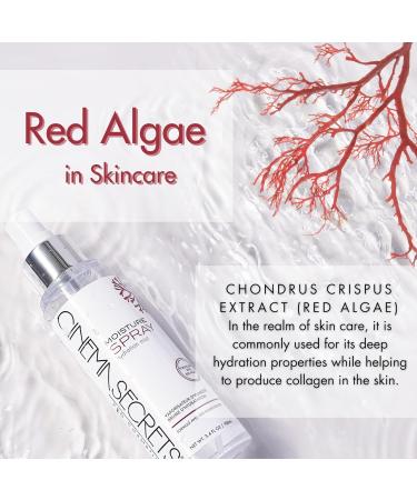 Cinema Secrets Pro Cosmetics Moisture Spray + Hydration Mist - Ultimate Hydration for Flawless Makeup International Shipping Available - Buy Online on SooperMarket.com
