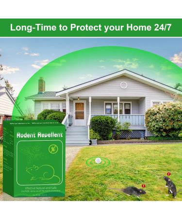 12 Pack Natural Peppermint Oil Rodent Repellent Balls - Safe Pest Control for Mice, Rats, Roaches, Moles, Squirrels, Ants, Moths - Indoor & Outdoor Use - Pet & Kid Safe - Buy Online on SooperMarket.com