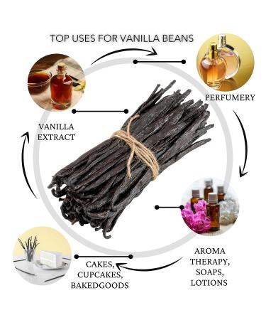 Slofoodgroup Gourmet Vanilla Beans - Grade A Uganda Bourbon Vanilla - Ideal for Cooking, Baking, and Extracts - 10 Count Pack - Buy Online on SooperMarket.com