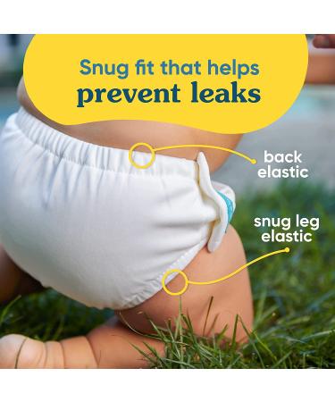 Charlie Banana Reusable Swim Diaper with Snaps - X-Large (27-44lbs) - Leak-Proof, Easy-On, Snug Fit - Buy Online on SooperMarket.com