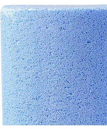 Foam Glass Callus Remover Pumice Stone Dead Skin Removal Soften Feet Portable Design for Professional Foot Care with Hygienic Foot Exfoliation Tool (Blue) - Buy Online on SooperMarket.com