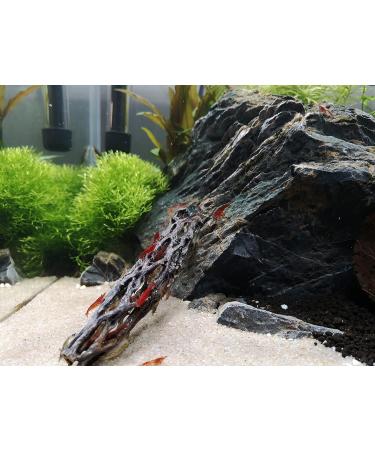 Proximus N1 Cholla Wood aquarium decoration for aquascape shrimp tank fish fry - Buy Online on SooperMarket.com