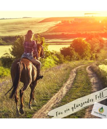 Herbal Land Black Cumin Oil 3L for Horses Dogs & Cats - 100% Pure Cold-Pressed Unfiltered - German Premium Quality - Buy Online on SooperMarket.com
