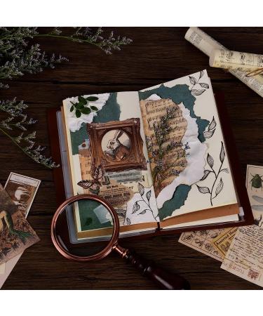 ANERZA 531 PCS Vintage Scrapbooking Supplies Stickers  Aesthetic Scrapbook Paper Art Journaling Kit for Bullet Journals  Ephemera for Junk Journal  Washi Stickers  Cottagecore Decoupage for Adults - Buy Online on SooperMarket.com