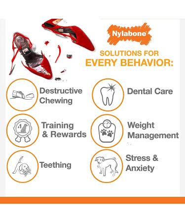 Nylabone Power Chew X-Shaped Bone Beef for Adult Dog Tough Chewers - Small/Regular Size - Buy Online on SooperMarket.com