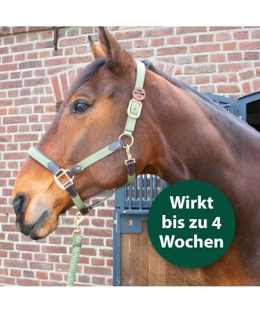Equisept Fly & Brake Medallion 2 Pack | Innovative Insect Defense for Horses | Easy to Attach to Halter or Bridle | Doping-Free & Lasts Up to 4 Weeks - Buy Online on SooperMarket.com