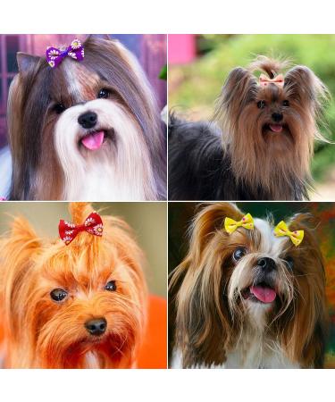 Symphonyw Dog Hair Bows 28 Pcs Daisy Flower Dog Hair Bows with Elastic Rubber Bands Pet Dog Grooming Hair Bands Hair Accessories for Long Hair Puppy Kitten Dogs Cats Random Color Multi-colored B - Buy Online on SooperMarket.com
