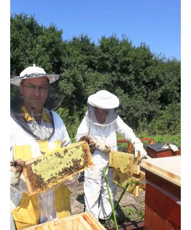 Pure Linden Honeydew Honey - 500g | Raw & Natural | Ethically Harvested | Boosts Vitality and Immunity | Sustainable Packaging - Buy Online on SooperMarket.com