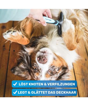 Bluepet Gloss Dance Fur Tubular De-Tunnel for Long-Haired Dogs & Cats - High-Quality Dual Row Pin Brush - Tangle-Free & Smooth Grooming (Pink) - Buy Online on SooperMarket.com