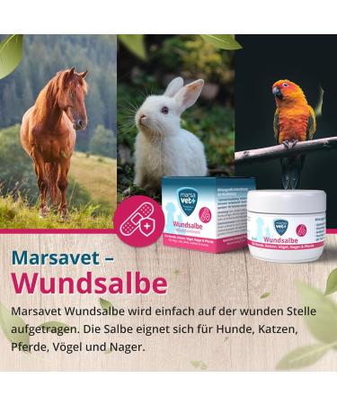 Marsavet+ 30ml Wound Ointment for Dogs Cats Birds & More | Zinc Propolis Hyaluron & D-Panthenol - Healing & Skin Infection Prevention - Buy Online on SooperMarket.com