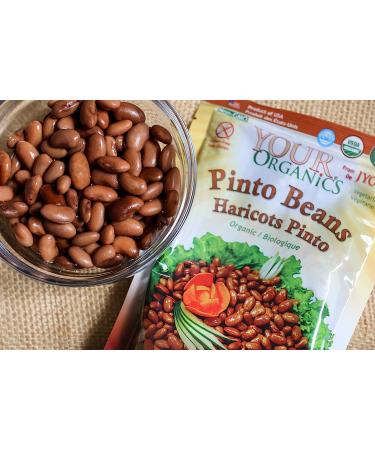 Jyoti Your Organics Pinto Beans - 60 oz (6 x 10 oz) - All Natural, Gluten Free, Vegan - Product of USA - BPA Free, NON-GMO, Low Salt - Buy Online on SooperMarket.com