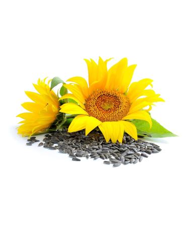 Mynatura Organic Sunflower Kernel Oil - Cold-Pressed Vegan Cooking Oil (500ml) for Baking & Raw Food - Buy Online on SooperMarket.com