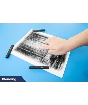 Pacific Arc Compressed Charcoal Sticks Medium 12 Pack - Drawing, Sketching, Shading - Buy Online on SooperMarket.com