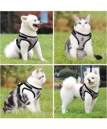 Cat Harness and Lead Set Adjustable Cat Harness Escape Proof Cat Kitten Harness for Walking Breathable Cat Harness with Reflective Stripe and Leash Set for Small Medium Cats Pets (S) - Buy Online on SooperMarket.com