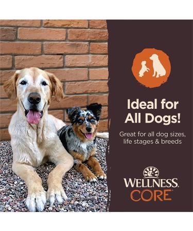 Wellness CORE Pure Rewards Chicken & Lamb Jerky Bites - Grain-Free Dog Treats, 4 oz - Buy Online on SooperMarket.com