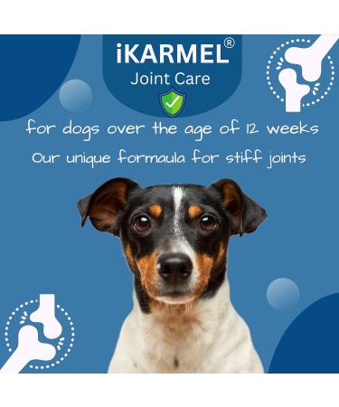 iKarmel Hip and Joint Care Supplements for Dogs - Glucosamine, Chondroitin, Green-Lipped Mussels - Senior to Puppy Treats for Stiff Joints (180 Chews) - Buy Online on SooperMarket.com