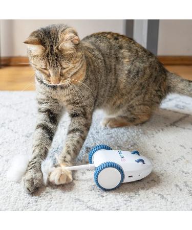 Kittio Robo Mouse: Interactive Cat Toy with Smart Steering Sensors - USB Charging - Buy Online on SooperMarket.com