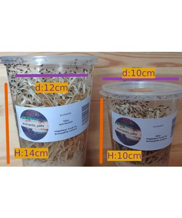 acomantis 16oz tub Flightless Fruit Flies (Drosophila Culture) Live Food - Buy Online on SooperMarket.com