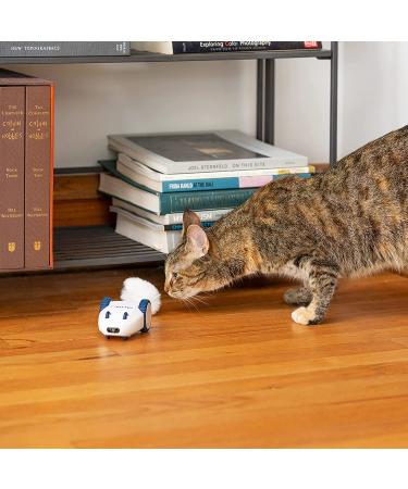Kittio Robo Mouse: Interactive Cat Toy with Smart Steering Sensors - USB Charging - Buy Online on SooperMarket.com