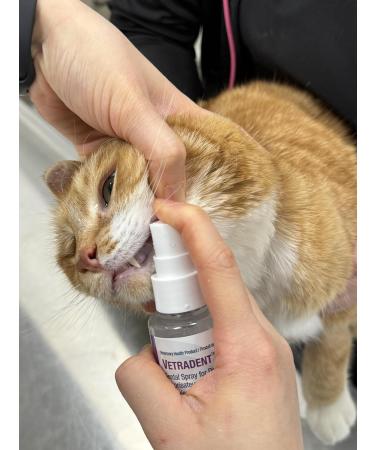 VETRADENT Oral Spray for Dogs & Cats with Biotrate Technology Fight Plaque & Tartar Freshen Breath Maintain & Promote Good Dental and Oral Hygiene 60ml Made in USA - Buy Online on SooperMarket.com