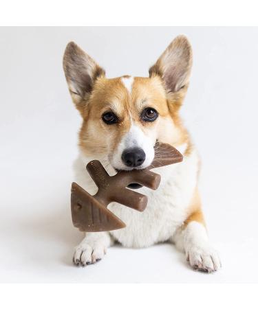 Benebone Fishbone Dog Chew Toy | Made in USA | Brown Medium Toy for Aggressive Chewers - Buy Online on SooperMarket.com
