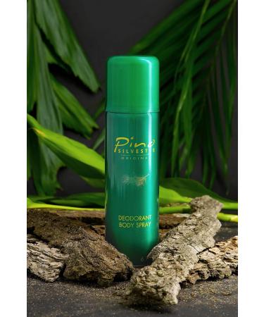 Pino Silvestre Deodorant Body Spray for Men - Long Lasting Sandalwood & Musk Fragrance - 6.7 Oz Cologne - International Shipping Available - Buy Online on SooperMarket.com