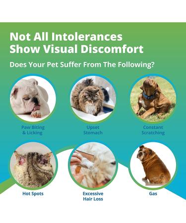 5Strands Pet Food Intolerance Test: At-Home Sensitivity Test for Dogs & Cats | 270 Items | Results in 7 Days - Protein, Grain, Fruit, Preservatives | Hair Analysis | Accurate for All Ages and Breeds - Buy Online on SooperMarket.com