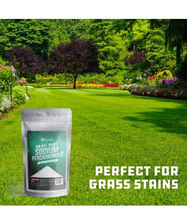 2 lbs Premium Sodium Percarbonate Oxygen Bleach Powder - 99.9% Pure - Multi-Use - Eco-Friendly - Ecoxall Chemicals - Buy Online on SooperMarket.com