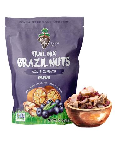 The True Organic Brazil Nuts Roasted Açai Fruit Nibs Premium Snack Mix by Floresta em Pé - 10 OZ