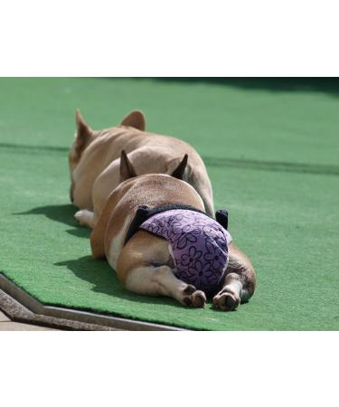 Glenndarcy Dog Diapers Without Tail Hole for French Bulldogs | Medium Unicorn Long Pants - Comfortable & Stylish - Buy Online on SooperMarket.com