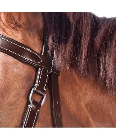 Shop WALDHAUSEN Star Bitless Bridle for Warmbloods Brown | International Shipping Available - Buy Online on SooperMarket.com