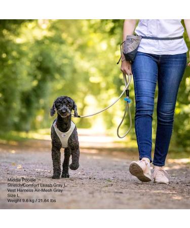 Stretch Comfort Leash - Light Tan | Premium Dog Leash for Ultimate Comfort | International Shipping Available - Buy Online on SooperMarket.com