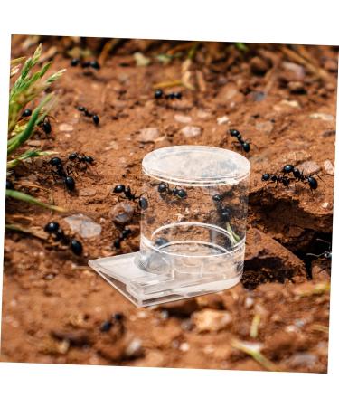 HANABASS Pet Water Feeder Ant Nest Entrance Feeder Ant Waterer for Garden Ant Watering Cup Ant Water Drinking Cup Ant Water Feeder Ant Feeder Station Ants Feeding Device Ant Bowl - Buy Online on SooperMarket.com