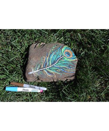 Sharpie Oil-Based Paint Markers 5 Count - Medium & Metallic Colors for Rock Painting - Buy Online on SooperMarket.com
