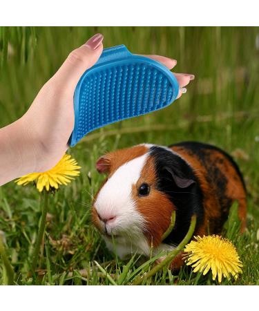 Bunny & Guinea Pig Grooming Kit | 3- Piece Bath Brush Set with Adjustable Hand Strap - Buy Online on SooperMarket.com