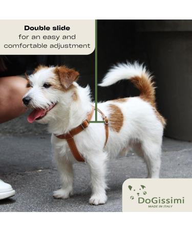 Dogissimi Leather Dog Harness | Adjustable Ergonomic Dog Harness for Small & Medium Dogs | Handmade in Italy | Military Style (M) 41-51 cm - Buy Online on SooperMarket.com