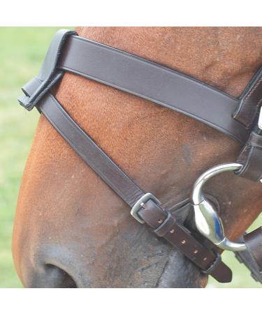 Shires Velociti GARA Flash Attachment Havana - Buy Online on SooperMarket.com