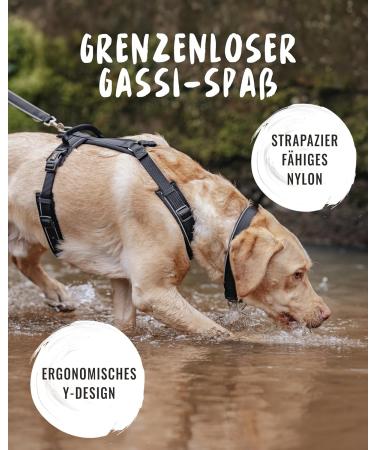 Rudel King Dog Harness Paola - Reflective Adjustable Harness for Small Dogs & Puppies - S Black with Handle - Buy Online on SooperMarket.com