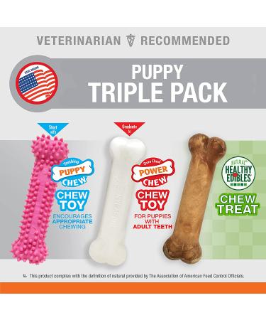 Nylabone Puppy Chew Toys for Teething Puppies | Small/Regular - Pink Bone Lamb & Apple (3 Count) - Buy Online on SooperMarket.com