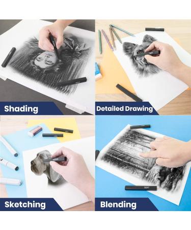 Pacific Arc Compressed Charcoal Sticks Soft 12 Pack - Ideal for Drawing, Sketching, and Shading - Buy Online on SooperMarket.com