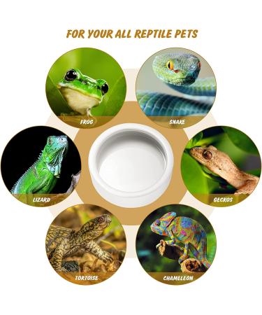 Small Ceramic Reptile Food Dish Bowl & Water Dish Set - 2 Pack | Ideal for Lizards, Geckos, Bearded Dragons, Chameleons, Hermit Crabs | Anti-Escape Design for Mealworms, Crickets, Superworms | 2.75in White - Buy Online on SooperMarket.com